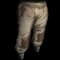 ARK: Survival Ascended Cloth Pants item
