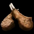 ARK: Survival Ascended Cooked Lamb Chop item