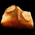ARK: Survival Ascended Cooked Prime Fish Meat item