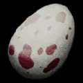 ARK: Survival Ascended Dilo Egg item