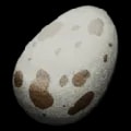ARK: Survival Ascended Dodo Egg item