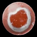 ARK: Survival Ascended Fertilized Aberrant Angler Egg item