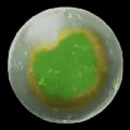 ARK: Survival Ascended Fertilized Aberrant Beelzebufo Egg item