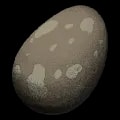 ARK: Survival Ascended Fertilized Allosaurus Egg item