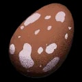 ARK: Survival Ascended Fertilized Baryonyx Egg item