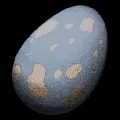 ARK: Survival Ascended Fertilized Pelagornis Egg item
