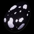 ARK: Survival Ascended Fertilized Troodon Egg item