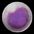 ARK: Survival Ascended Fertilized Tusoteuthis Egg item