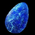 ARK: Survival Ascended Fertilized Water Wyvern Egg item