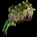 ARK: Survival Ascended Gamma Cymathoa Trophy item