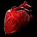 ARK: Survival Ascended Giganotosaurus Heart item