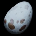 ARK: Survival Ascended Hesperornis Egg item
