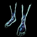 ARK: Survival Ascended HomoDeus Boots item