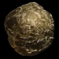 ARK: Survival Ascended Human Feces item