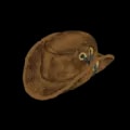 ARK: Survival Ascended Hunter Hat Skin item