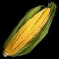 ARK: Survival Ascended Longrass item
