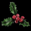 ARK: Survival Ascended Mistletoe item