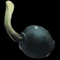 ARK: Survival Ascended Narcoberry Seed (instant grow) item