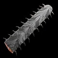 ARK: Survival Ascended Onchopristis Blade item
