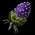 ARK: Survival Ascended Plant Species W Fruit item