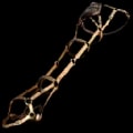 ARK: Survival Ascended Plesiosaur Saddle item