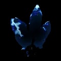 ARK: Survival Ascended Primal Crystal item