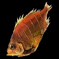 ARK: Survival Ascended Prime Fish Jerky item