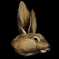 ARK: Survival Ascended Procoptodon Bunny Costume item