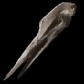 ARK: Survival Ascended Quetzalcoatlus Bone Costume item