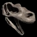 ARK: Survival Ascended Raptor Bone Costume item
