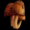 ARK: Survival Ascended Rare Mushroom item