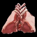 ARK: Survival Ascended Raw Mutton item