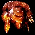 ARK: Survival Ascended Red Crystalized Sap item