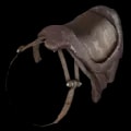 ARK: Survival Ascended Sabertooth Saddle item