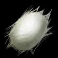 ARK: Survival Ascended Silk item
