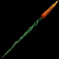 ARK: Survival Ascended Sweet Spear Carrot Skin item
