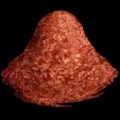 ARK: Survival Ascended Tintoberry Seed (instant grow) item
