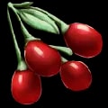 ARK: Survival Ascended Tintoberry item