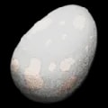 ARK: Survival Ascended Titanoboa Egg item