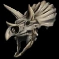 ARK: Survival Ascended Trike Bone Helmet Skin item