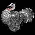 ARK: Survival Ascended Turkey Hat Skin item