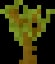 Minecraft Acacia Sapling item
