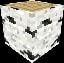 Minecraft Birch Log item
