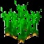 Minecraft Carrots item