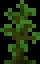 Minecraft Jungle Sapling item