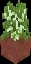 Minecraft Potted Birch Sapling item