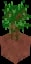 Minecraft Potted Dark Oak Sapling item