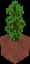Minecraft Potted Jungle Sapling item