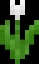 Minecraft White Tulip item